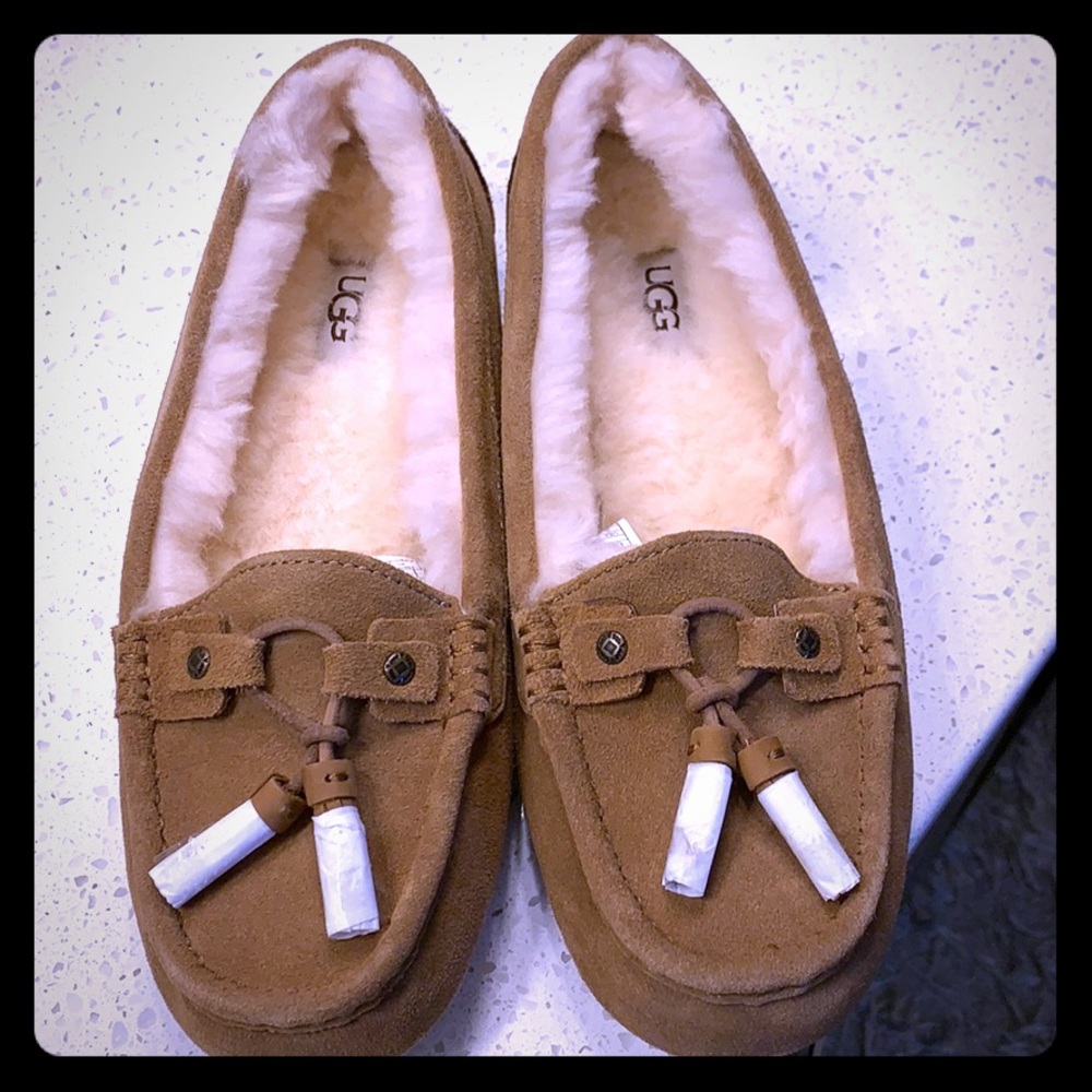 Ugg slippers